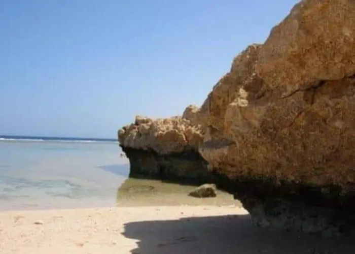 Sunny Sea
